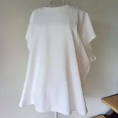 Item thumbnail for item 38c8e6c0-abf0-4167-af89-2641c771b14c