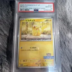 ピカチュウ：イラストレーションコンテスト 2024 PROMO SV-Pプロモ