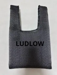 2025年最新】ludlow メッシュの人気アイテム - メルカリ