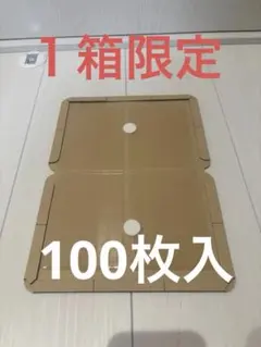 2026年最新】ネズミ駆除 粘着シートの人気アイテム - メルカリ