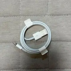 iPhone 正規品　充電器　ケーブル
