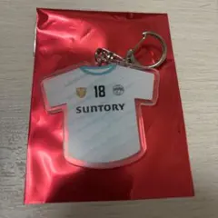 Item thumbnail for item ca82fe74-c400-4570-a950-f5b459907b02