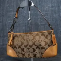 Coach accessory bag signature