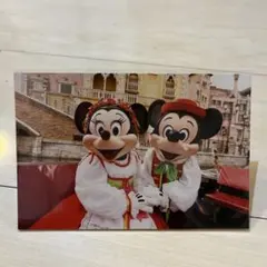 東京ディズニーリゾート ミッキー ミニー ポストカード