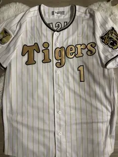 Item thumbnail for item 326d1776-501a-4272-b403-cf7d4ea197ef