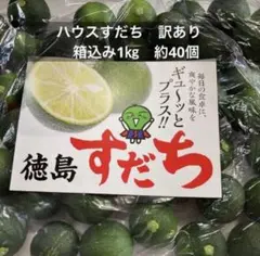 徳島産ハウスすだち　訳あり箱込み1㎏のサムネイル
