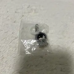 ヒロアカ　相澤先生めじるしアクセサリー