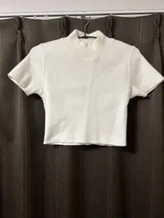 ZARA アイボリー ハイネックニット クロップド丈