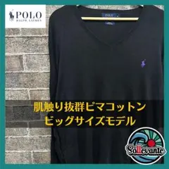 〇ポロラルフローレン  Vネックセーター 古着 オーバーサイズ  刺繍ロゴ XL