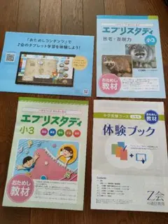 Z会　おためし教材セット　3年　中学受験　国算理社英　小3