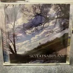 廃盤 SKYEATSALPLANE / 自主アルバム