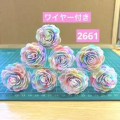 ソラフラワー　2661