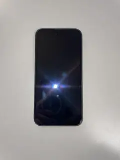 Apple iPhone 13 mini グリーン