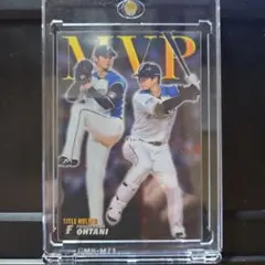 Item thumbnail for item e63c4d7d-6790-4796-88f1-b401a33d3930