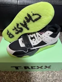 Travis Scott NIKE 24センチ　新品未使用品 2025年最新】nike travis scott 24の人気アイテム - メルカリ