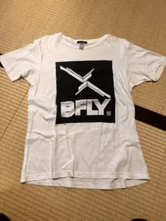 Item thumbnail for item 698a5ada-dab2-4fd2-ba18-4cbbaaf5d942