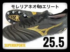 2025年最新】モレリアネオ4 25.5の人気アイテム - メルカリ