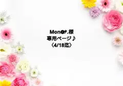 Mon❁⃘*.様専用ページ♪