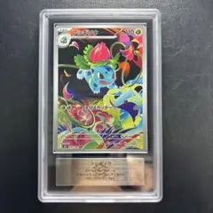 【ARS AU 真贋鑑定】フシギソウ　AR 065/063