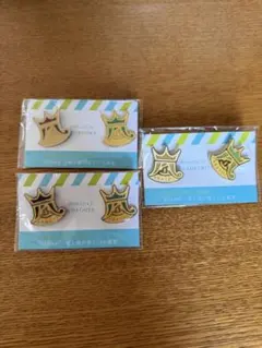 嵐 10-11Sceneコン 【君と僕の見ている風景】 会場限定ピンバッジ　3種