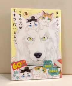 Item thumbnail for item 21b4b70d-0472-470b-bc27-5300335c80c7