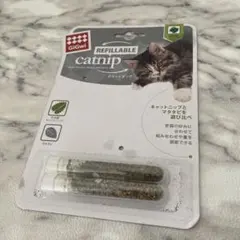 캣닙 악티니아