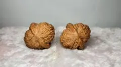 Item thumbnail for item 49d0b369-19ab-4e47-9b1b-9e8507c83f1d