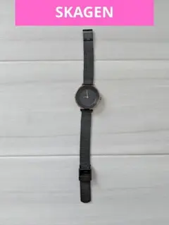 SKAGEN 腕時計 SKW2277 レディース クォーツのサムネイル