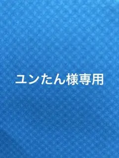 北海道産 ししとう〔ユンたん様専用〕