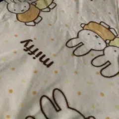 Item thumbnail for item c8637d8d-060d-47ad-83a4-e151d40245f5