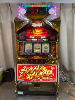 ★☆実機　ＳニューハナハナゴールドＥＸ-３０　コイン不要機付き☆★のサムネイル