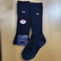 Item thumbnail for item cb8130c8-53c5-4062-9e89-44c76a46037e