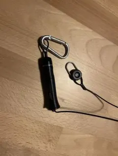 Item thumbnail for item 509e0159-33d6-4fab-997d-3e0ff205a2d1