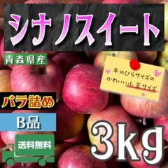 青森県産＂ シナノスイート ＂りんご 家庭用 3kg 産地直送 リンゴ 林檎のサムネイル