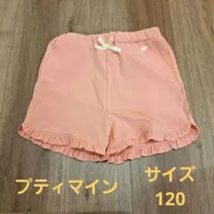 プティマイン 水陸両用　120