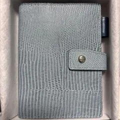 Item thumbnail for item 39fd5d79-8482-4f28-86f7-a2f390fbca6f