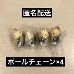 SKZOO つまんでつなげてますこっと フォクシニー×4