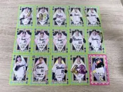 東京ヤクルトスワローズ グルメカードセット
