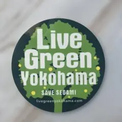 Item thumbnail for item bbf4aa6a-37b6-42b5-a4be-77b3a00d8ef0