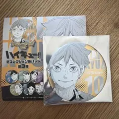 ハイキュー!! 日向翔陽 缶バッジ