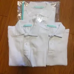 Item thumbnail for item 7af5a564-d186-4f21-8e4f-878825810ebe