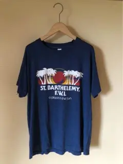 USA製 SCREENSTARS 古着 80's ビンテージ プリント Tシャツ