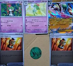 スペシャルカードセット メガエルレイドex プロモ 5枚＋コインセット