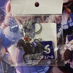 クロワデュノール アイドルホース アクリルフォトパネル 競馬グッズ