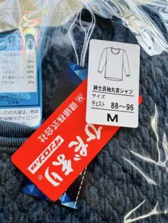 Item thumbnail for item e299ea59-d10b-4f33-b200-dc2bab7e7c00