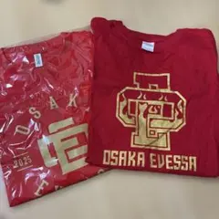 大阪エヴェッサ Tシャツ 2枚セットのサムネイル