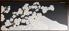 X-raypad AquaControl 2 マウスパッド アクアコントロール