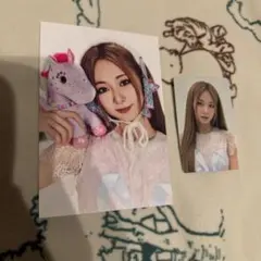 collector ツウィ　apple music シーグリ 2025