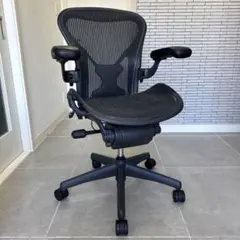 Herman Miller アーロンチェア AE123AWB クラシック可動肘 - メルカリ