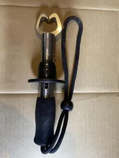 Item thumbnail for item 80bacc1c-17a7-4c47-a956-e07b98001479